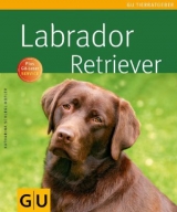 Labrador Retriever - Katharina Schlegl-Kofler