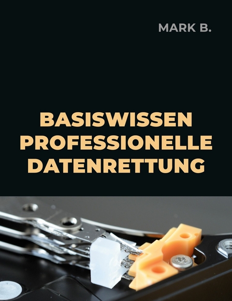 Basiswissen professionelle Datenrettung -  Mark B.