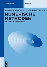 Numerische Methoden - Hermann Friedrich, Frank Pietschmann