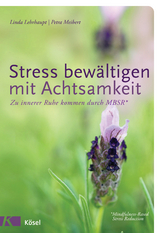 Stress bewältigen mit Achtsamkeit - Linda Lehrhaupt, Petra Meibert