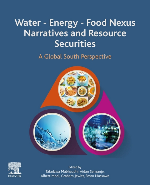 Water - Energy - Food Nexus Narratives and Resource Securities - 