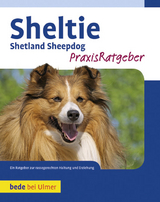 Sheltie - Schwartz, Charlotte