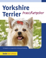 Yorkshire Terrier - Rudolf Schließer