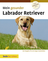 Mein gesunder Labrador Retriever - Lowell Ackerman