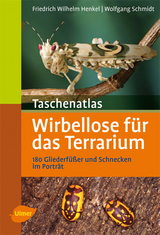 Wirbellose für das Terrarium - Friedrich Wilhelm Henkel, Wolfgang Schmidt