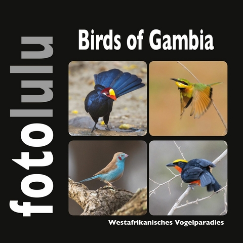 Birds of Gambia - Sr. fotolulu