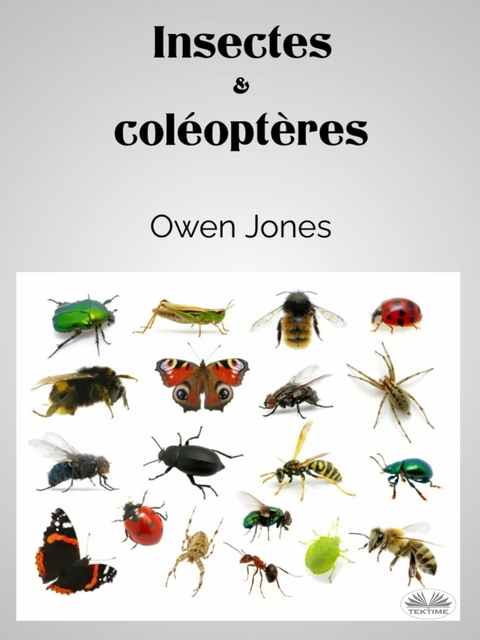 Insectes Et Coléoptères - Owen Jones