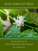 Einführung in „Die Synthese des Yoga“ - Sri Aurobindo