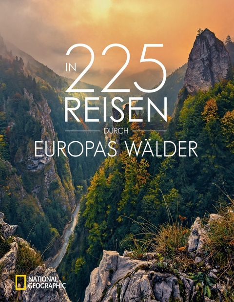 In 225 Reisen durch Europas Wälder - Jörg Berghoff, Silke Martin, Lisa Bahnmüller, Stefan Hefele