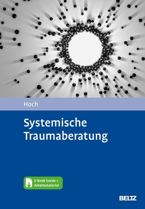 Systemische Traumaberatung -  Roman Hoch