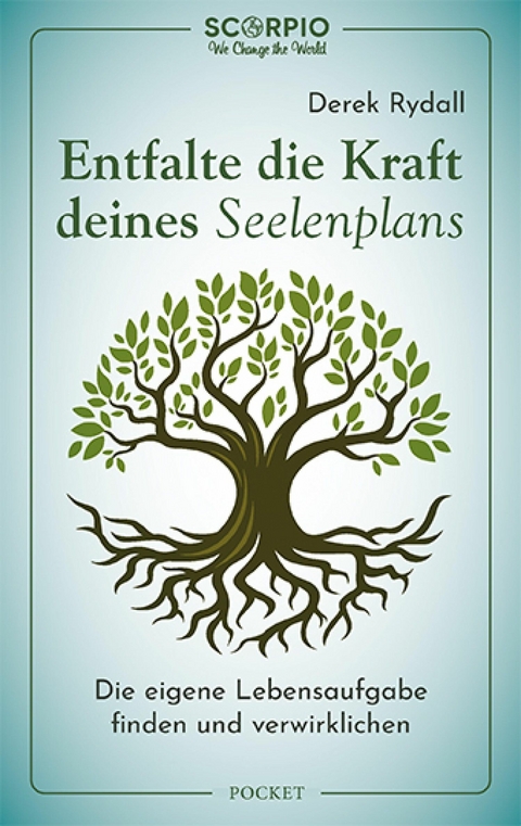 Entfalte die Kraft deines Seelenplans -  Derek Rydall