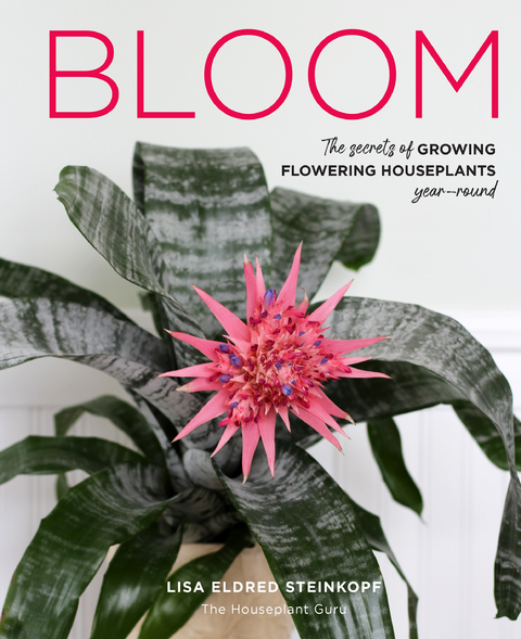 Bloom - Lisa Eldred Steinkopf