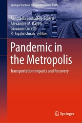 Pandemic in the Metropolis - 