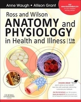 Ross and Wilson Anatomy and Physiology in Health and Illness - Waugh, Anne; Grant, Allison