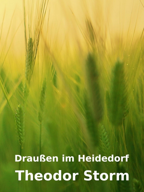 Draußen im Heidedorf - Theodor Storm