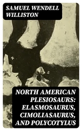 North American Plesiosaurs: Elasmosaurus, Cimoliasaurus, and Polycotylus - Samuel Wendell Williston