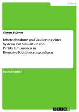 Inbetriebnahme und Validierung eines Systems zur Simulation von Partikelemissionen in Biomasse-Kleinfeuerungsanlagen - Simon Stürner