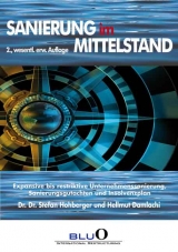 Sanierung im Mittelstand - Stefan Hohberger, Hellmut Damlachi