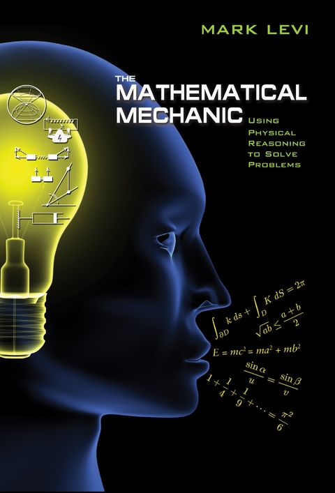 The Mathematical Mechanic - Mark Levi