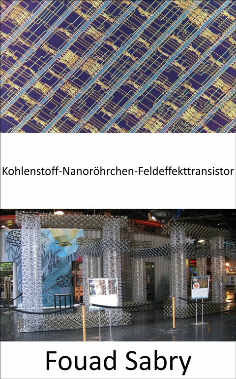 Kohlenstoff-Nanoröhrchen-Feldeffekttransistor -  Fouad Sabry