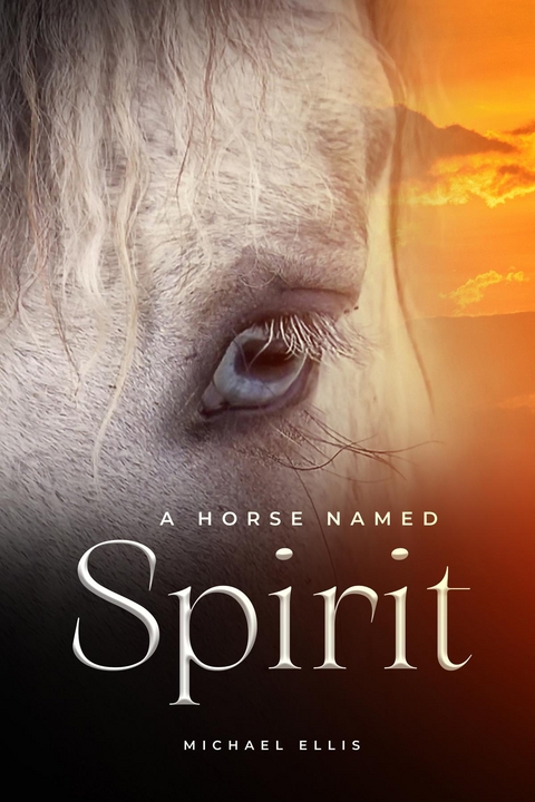 A Horse Named Spirit - Michael Ellis