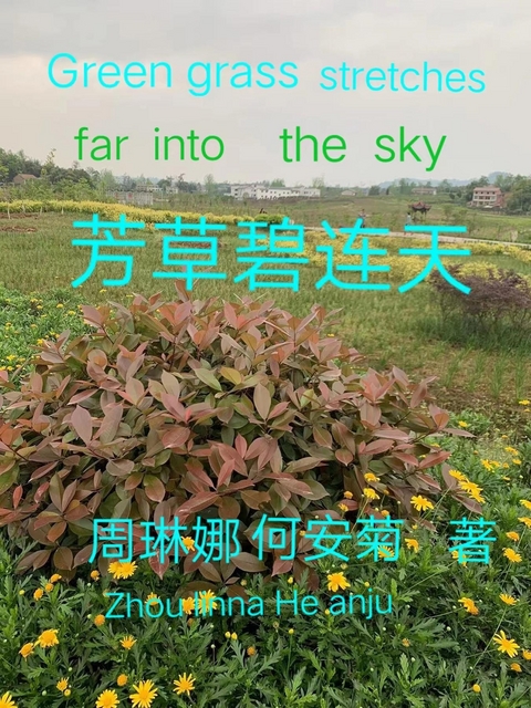 芳草碧连天 Green Grass Stretches Far Into The Sky -  Anju He,  Linna Zhou