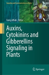 Auxins, Cytokinins and Gibberellins Signaling in Plants - 