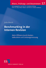 Benchmarking in der Internen Revision - Julia Busch