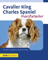 Cavalier King Charles Spaniel - Cunliffe, Juliette