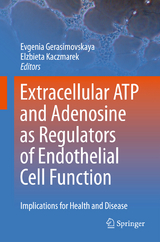 Extracellular ATP and adenosine as regulators of endothelial cell function - 