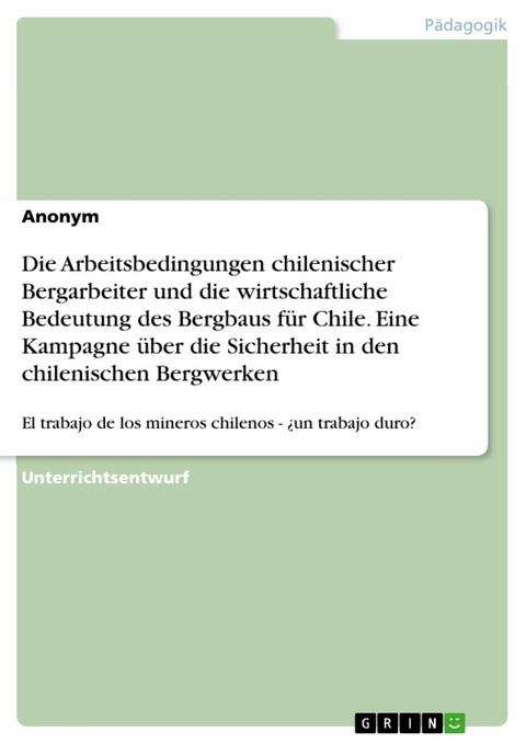 Die Arbeitsbedingungen chilenischer Bergarbeiter und die wirtschaftliche Bedeutung des Bergbaus für Chile. Eine Kampagne über die Sicherheit in den chilenischen Bergwerken