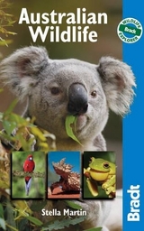 Australian Wildlife - Stella Martin