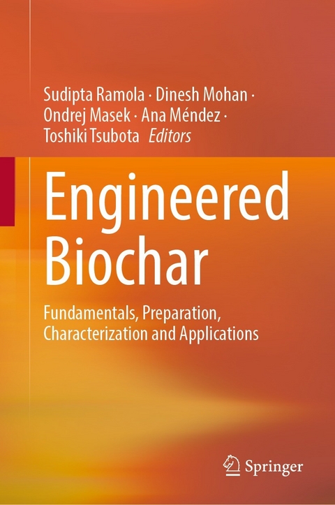 Engineered Biochar - 