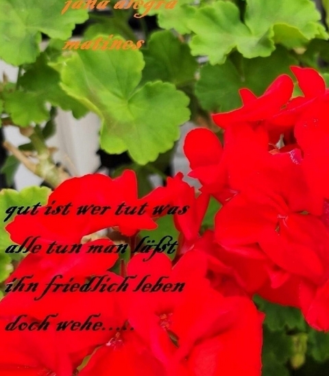 GUT IST wer tut was alle tun.......... - Jana Alegra Martines