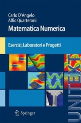 Matematica Numerica Esercizi, Laboratori E Progetti - Carlo D'Angelo, Professor of Mathematics Alfio Quarteroni