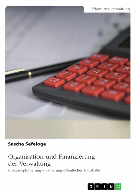 Organisation und Finanzierung der Verwaltung - Sascha Sefeloge