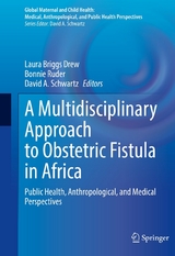 A Multidisciplinary Approach to Obstetric Fistula in Africa - 