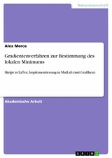 Gradientenverfahren zur Bestimmung des lokalen Minimums - Alex Meros