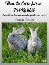 How To Care For A Pet Rabbit - Owen Jones