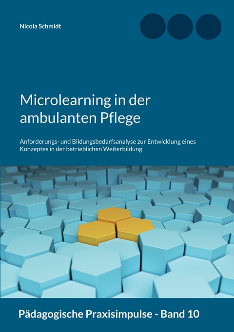 Microlearning in der ambulanten Pflege - Nicola Schmidt