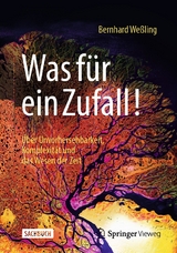 Was für ein Zufall! - Bernhard Weßling