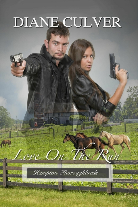 Love On The Run -  Diane Culver