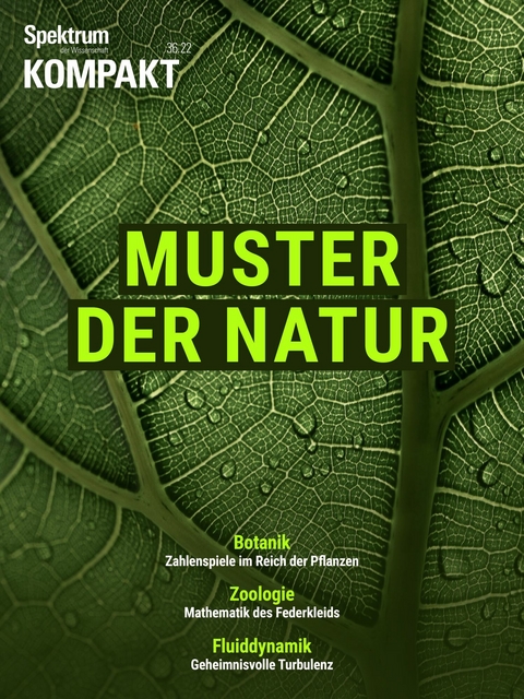 Spektrum Kompakt - Muster der Natur -  Spektrum der Wissenschaft