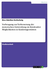 Vorbeugung zur Verbesserung der motorischen Entwicklung im Kindesalter. Möglichkeiten in Kindertagesstätten - Nico Günther-Gottschalg