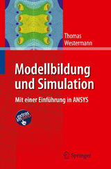 Modellbildung und Simulation - Thomas Westermann