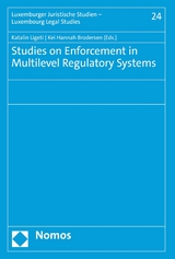 Studies on Enforcement in Multilevel Regulatory Systems - 