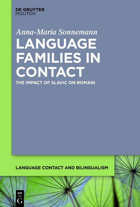 Language Families in Contact - Anna-Maria Sonnemann