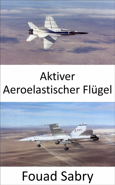 Aktiver Aeroelastischer Flügel -  Fouad Sabry