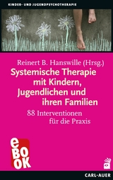 Systemische Therapie mit Kindern, Jugendlichen und ihren Familien - 