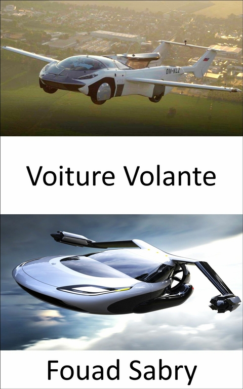 Voiture Volante -  Fouad Sabry